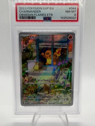 Charmander 044 Sv: Scarlet & Violet Promo Cards Holo PSA 8