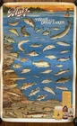 Vintage Blatz Beer Poster Sign Fishes Of The Great Lakes NOS 1987 36”-23”