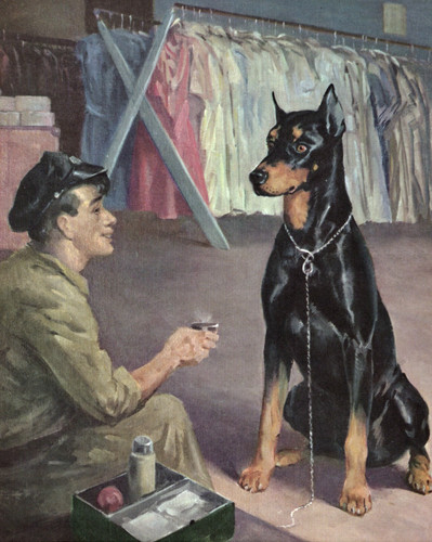 Vintage Doberman Print Wesley Dennis Illustration Gallery Wall Art 6575t
