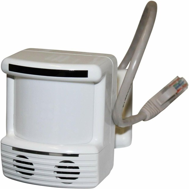 Wattstopper LMDX-100 Dual Technology Digital Occupancy ...