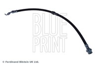 Blue Print Bremsschlauch ADM55368 FüR Mx 626 Gf 323 Premacy Bj Xedos Ca Mazda 6