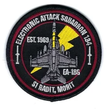 VAQ-134 'GARUDAS' "EST. 1969" EA-18G (THEIR LATEST) bullet patch