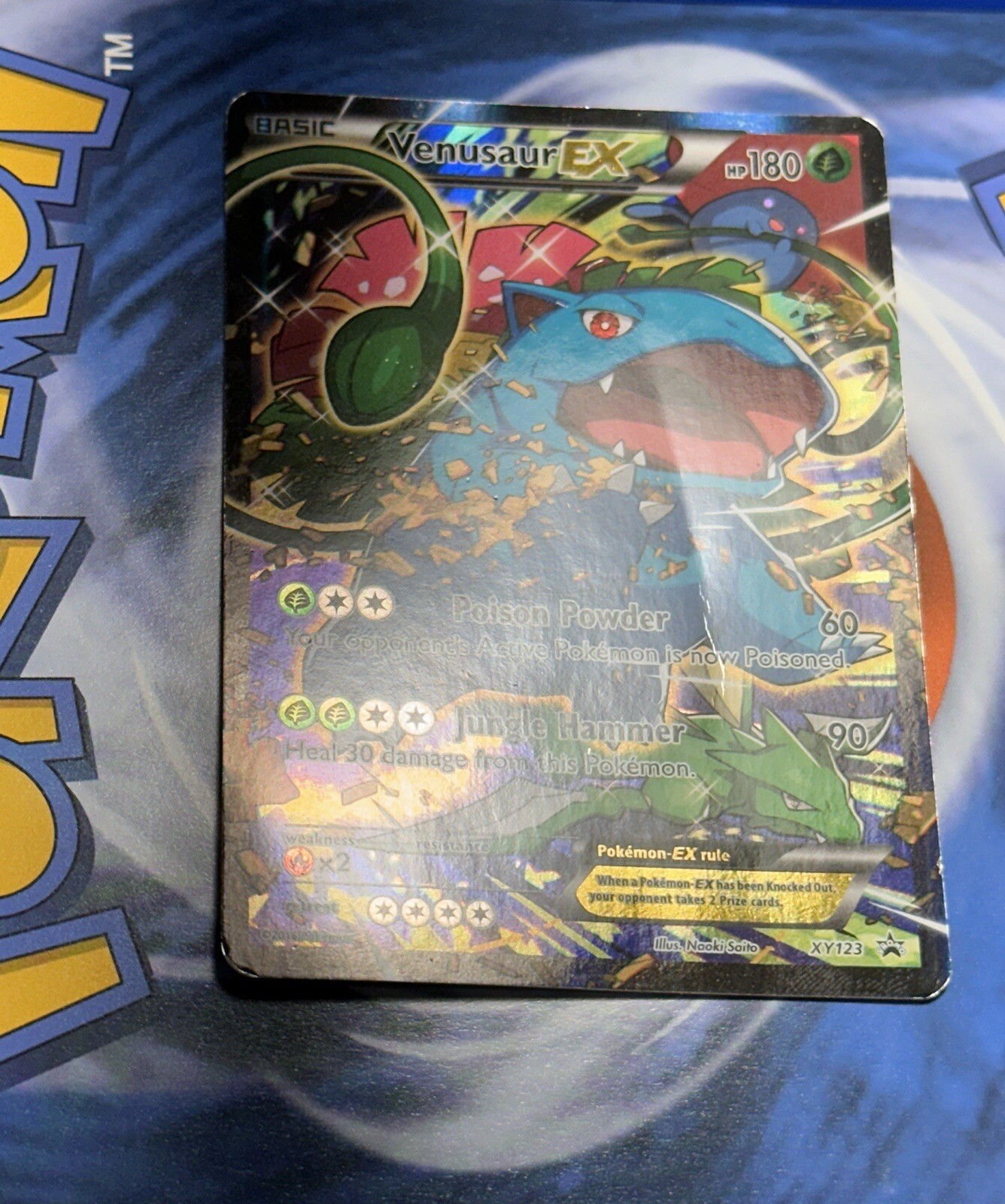 Venusaur EX XY123 Black Star Promo Holo Ultra Rare 2014 Pokémon Card TCG eBay