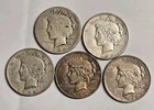 5 Peace Silver Dollars - Lot SK52