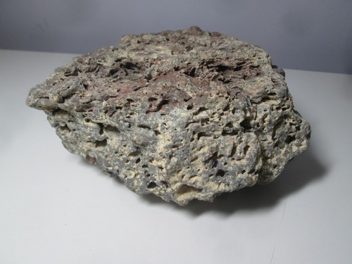 NATURAL HOLEY LACE ROCK HONEYCOMB FISH REPTILES AQUARIUM Gray Brown 5.5 LB - Picture 3 of 9