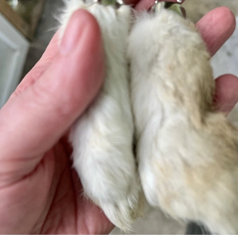 Llaveros de 13 pies de conejo de la suerte Foto 2 de 2