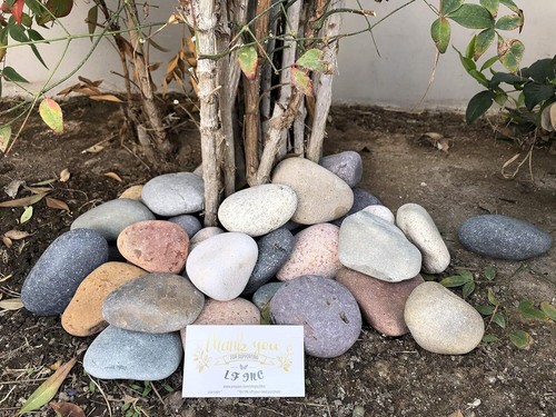 50 Lb. Premium Large Mixed Mexican Stone Beach Pebbles 3-5 inches for Garden - Picture 2 of 11