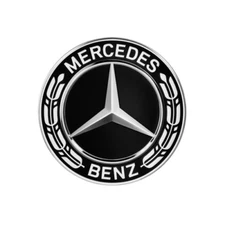 GENUINE Mercedes Benz Wheel Hub Cap Star With Laurel Wreath NEW 1674015900