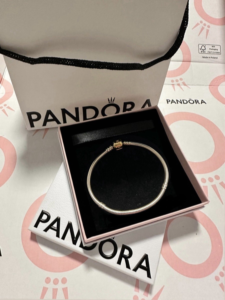 Pandora Charm G585 Pandora Pandora Bracelet With 14k Gold Clasp