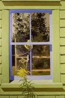 Lois Dodd | Art And Life In 20Th-Century Britain | Faye Hirsch | Englisch | Buch