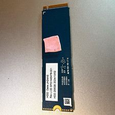 KIOXIA KBG60ZNV256G 256GB M.2 NVMe Internal SSD Black SSD Only