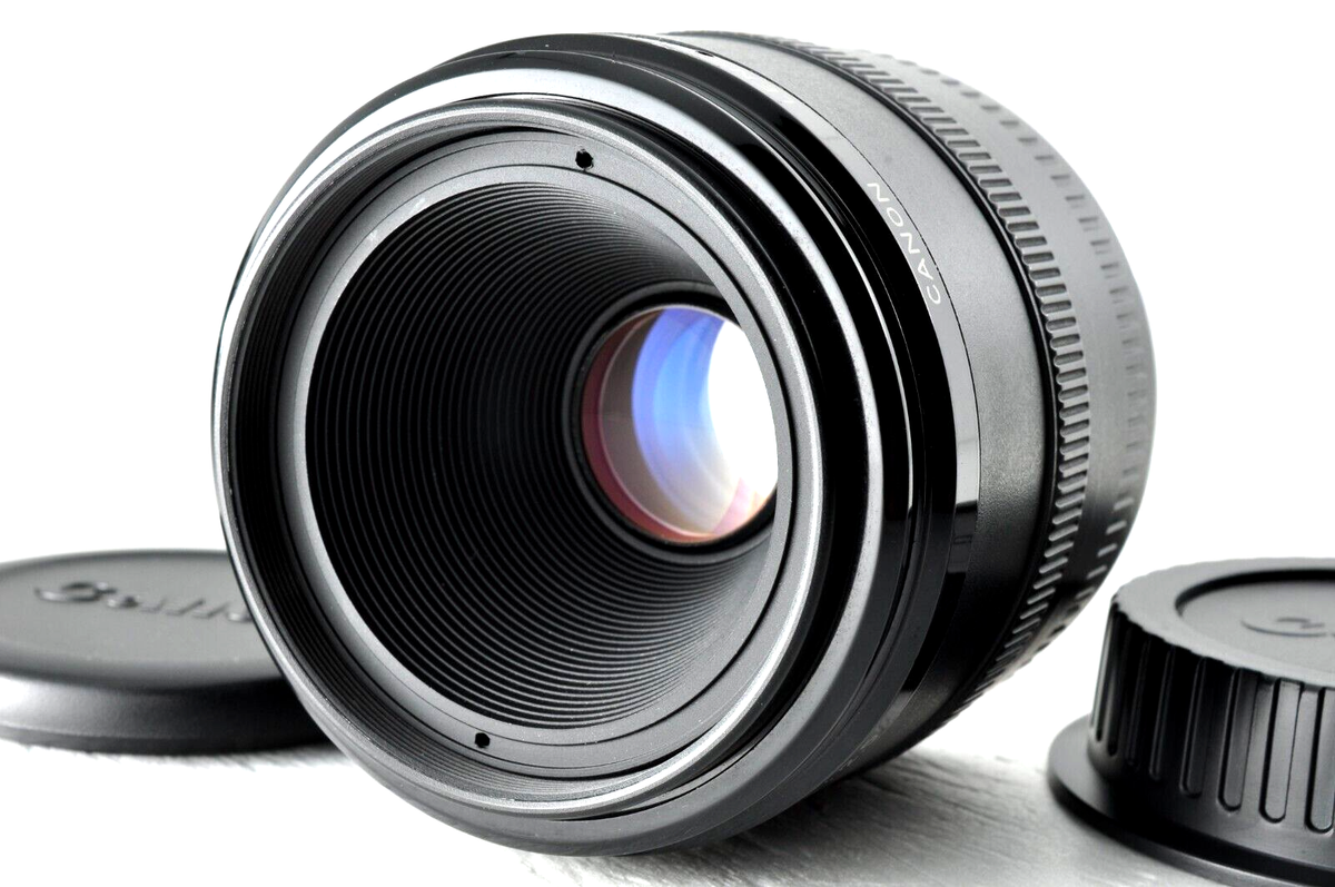Mint] Canon EF 50mm f/2.5 Compact Macro Lens from Japan