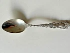 Gorham Imperial Chrysanthemum Sterling Silver Teaspoon Ornate Monogram "C" 1894