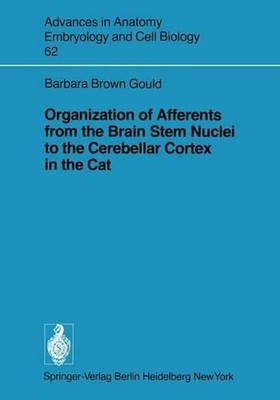 Organization of Afferents from the Brain Stem Nuclei to the Cerebellar Cortex in