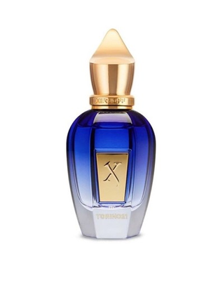 #ad Xerjoff Torino 21 EDP 100mL 3.4oz New TSTR $199.00