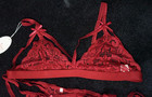 RSLove red 5 piece set lace xxl bra, panties and garters nwt — photo 7