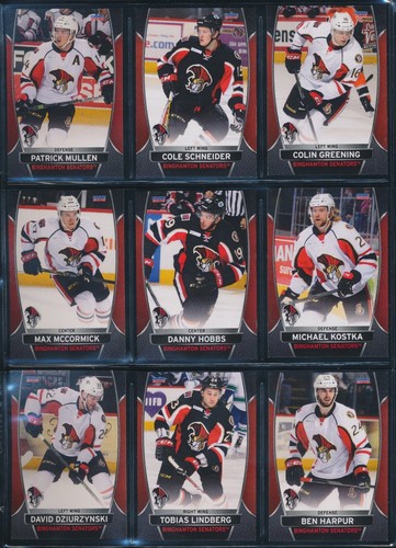 2006-07 to 2015-16 Choice Binghamton Senators AHL Team Set Single Cards - U PICK - Picture 179 of 194