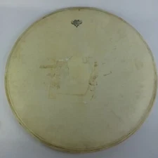 Leedy "Superior Hardwhite" Calfskin 22"Bass Drum Head Vintage 30s-40s Batter USA