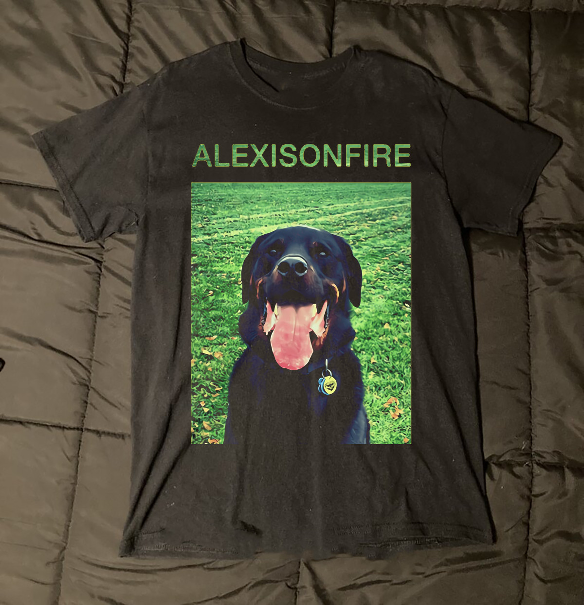 ALEXISONFIRE Band Gift For Fan S to 5XL Unisex T-Shirt QA038
