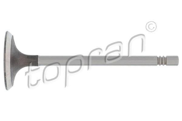 Einlassventil Topran 110 195 FüR Ibiza Seat VW Fabia Skoda 5Z4 Polo FOX 5Z3 5Z1-image