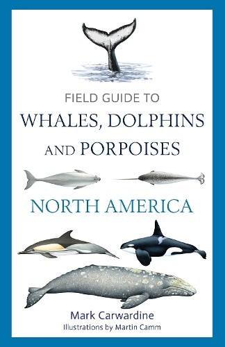 Field Guide to Whales, Dolphins and Porpoises of North Americ... - 9781399424417
