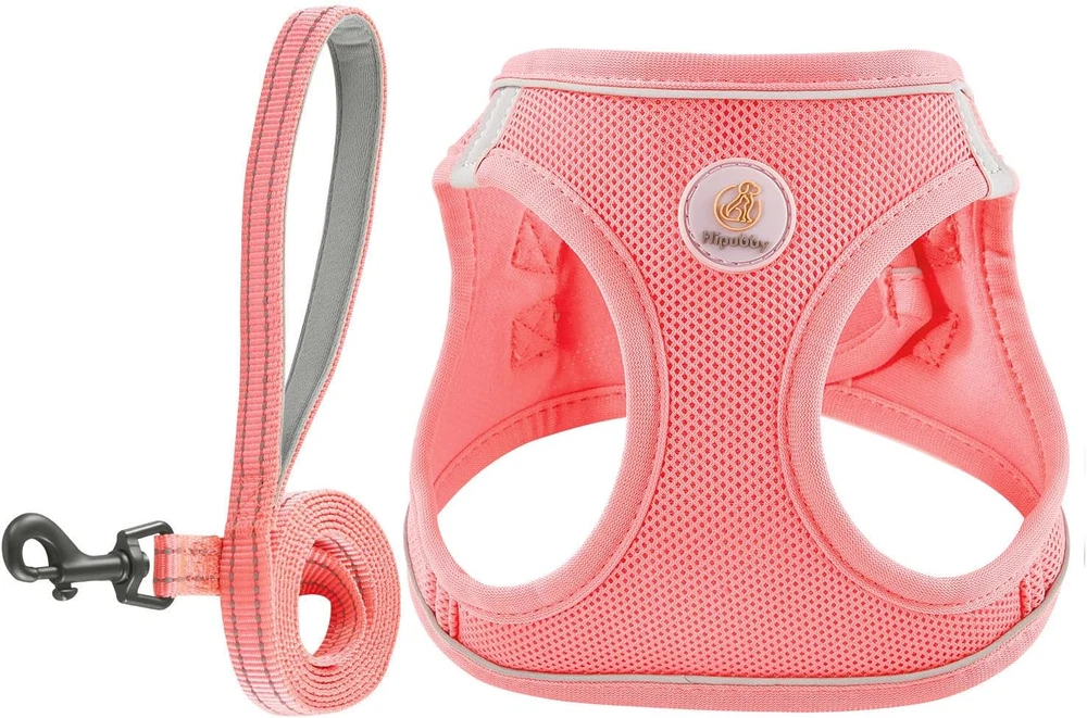 Dog Harness and Leash Set, No Pull Soft Mesh Puppy Harness for Small Medium Dogs
