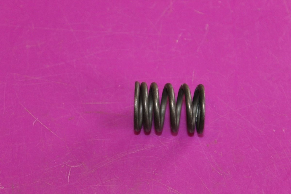 Hisun 500 Valve Spring. Part# 14751. | eBay