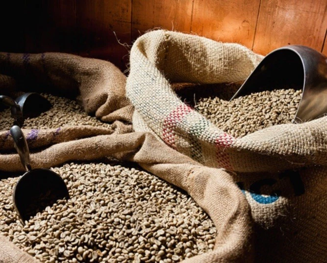VILAR IMPORTS 5 LBS HIGHLAND PERUVIAN UNROASTED GREEN COFFEE BEANS - ORGANICALLY GROWN ARABICA