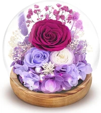 jabeick Christmas Gifts for Women, Preserved Flowers Roses in Glass Dome, Foreve