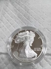 1995 American Silver Eagle Proof Coin. Excellent Possible Proof 70