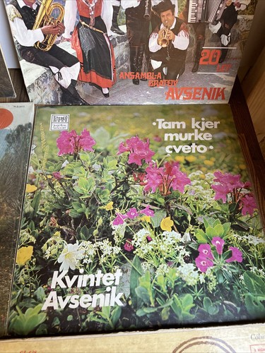 Lot Of 9 Polka 33 Vinyl Yugoslavian Helidon Jugoton Frankie Yankovic Free Ship - Bild 5 von 11