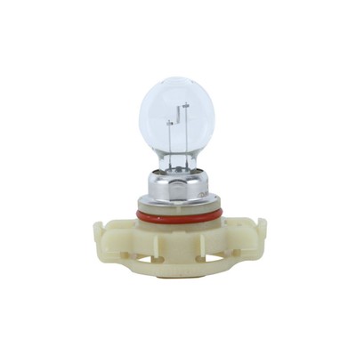 Glühlampe Sekundär PHILIPS PSX24W Vision 12V, 24W, 1 Stück