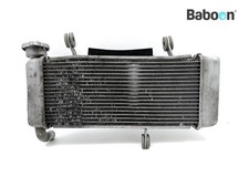 Radiator Kawasaki Z 125 2021-2022 (Z125 BR125L)