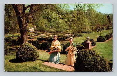 Vintage Berkeley Plantation VA Boxwood Garden Women Plastichrome Postcard