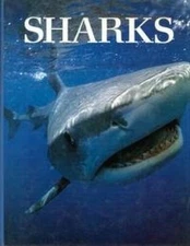 Sharks - Hardcover By Pyrzakowski, Tony - GOOD