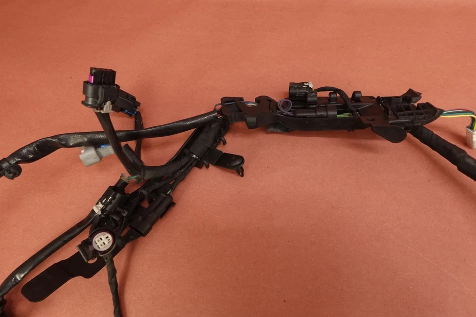 2024 18-24 HARLEY-DAVIDSON SOFTAIL FXST Main Engine Wiring Harness (A) - Image 3 of 4