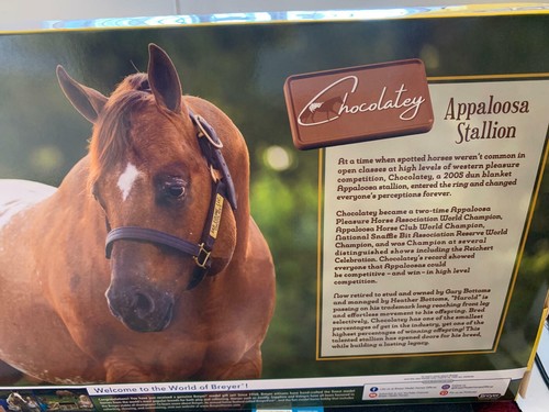 Breyer Model Horses 2021 Champion Appaloosa Chocolatey - Picture 2 of 4