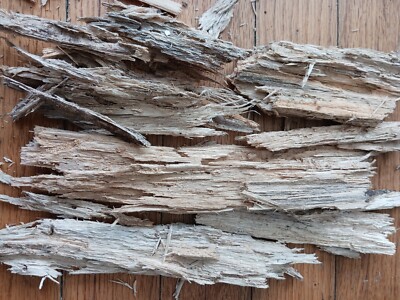 Rotting Wood Isopod, Springtails, Beetle, Millipede substrate 100+ CUBIC INCHES