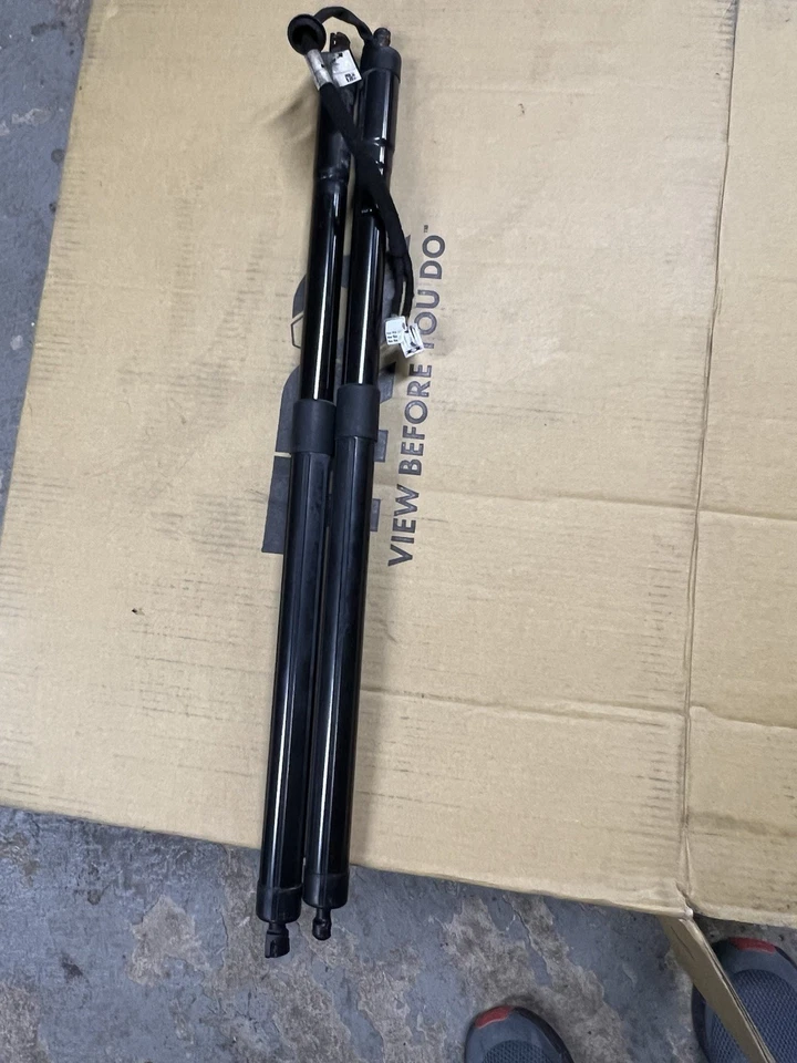 2019 Honda Passport Rear Trunk Lid Tailgate Strut Shock Lift Cylinder Set OEM - Image 4 of 4