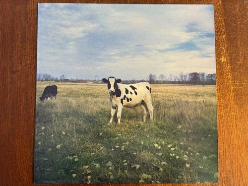 Screaming Abdabs 'The Dark Side Of The Moo'  1986 Vinyl LP CUD 382 - Pink Floyd