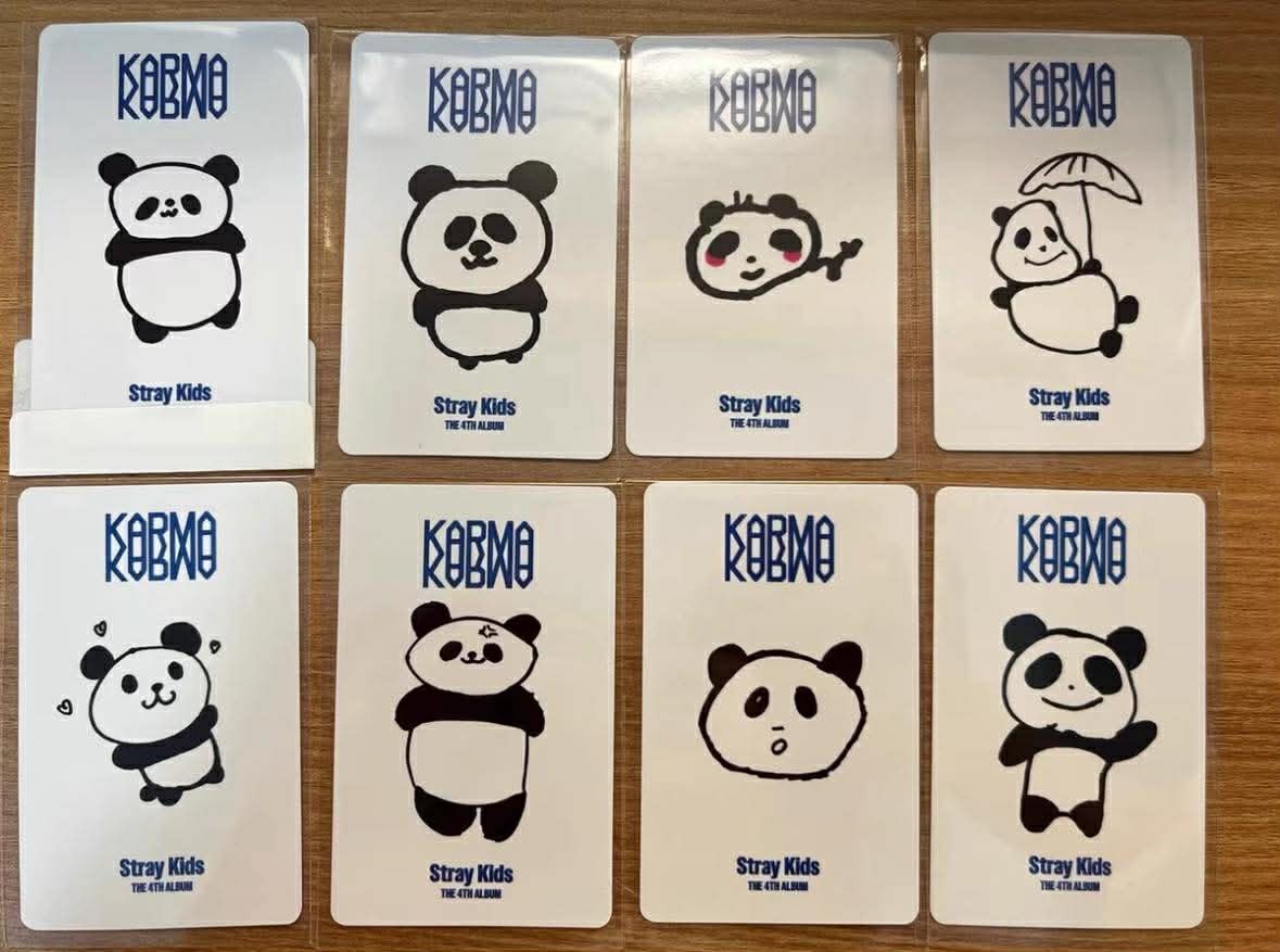 STRAY KIDS OFFICIAL KARMA ALBUM KMS KMSTATION SHENZHEN PANDA POB