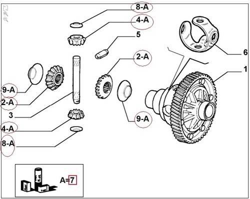 KIT INGRANAGGI DIFFERENZIALE SATELLITI PLANETARI FIAT PUNTO - LANCIA Y 71719454 - Imagen 4 de 4