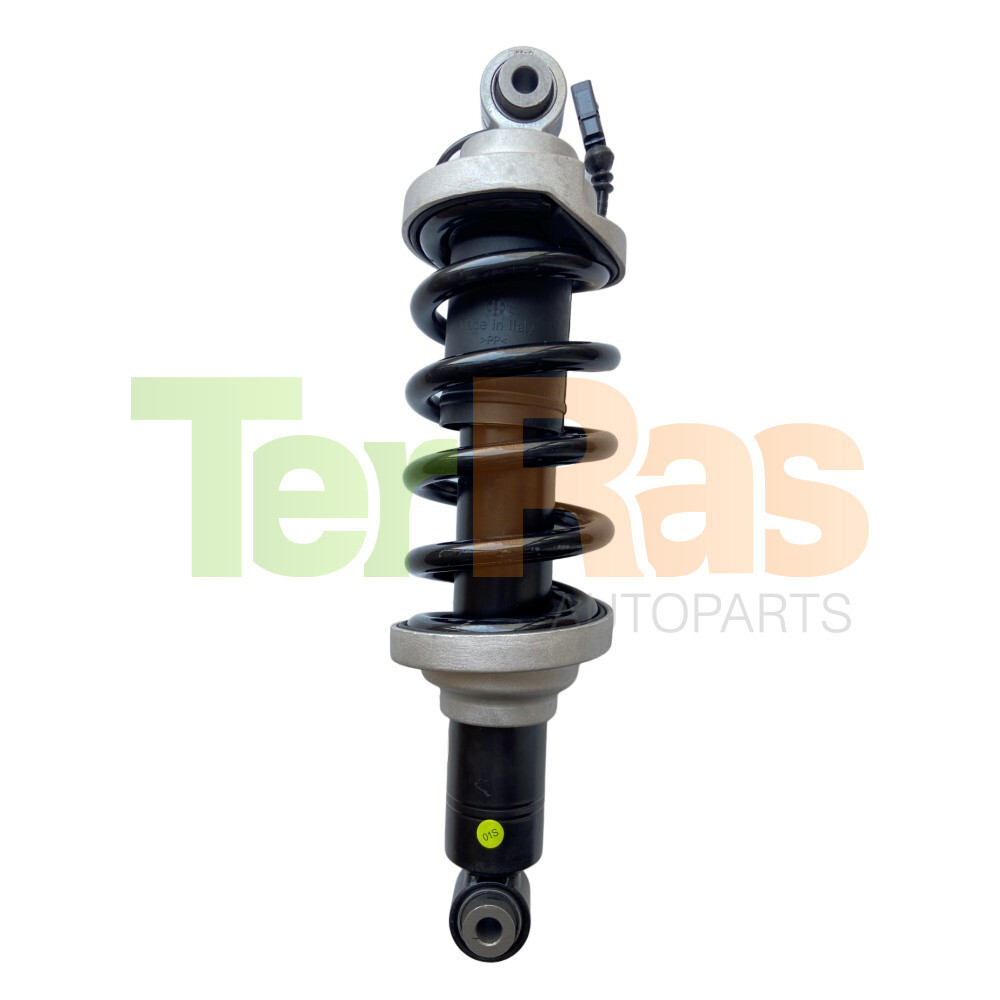 Lamborghini Huracan 2015-2021 REAR+LEFT, RIGHT Shock absorber P/N 4S0512019S