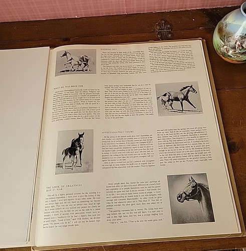 The Look of a Thoroughbred 8 Vntg Horse Prints C.W. Anderson Portfolio Man O War - Picture 9 of 24