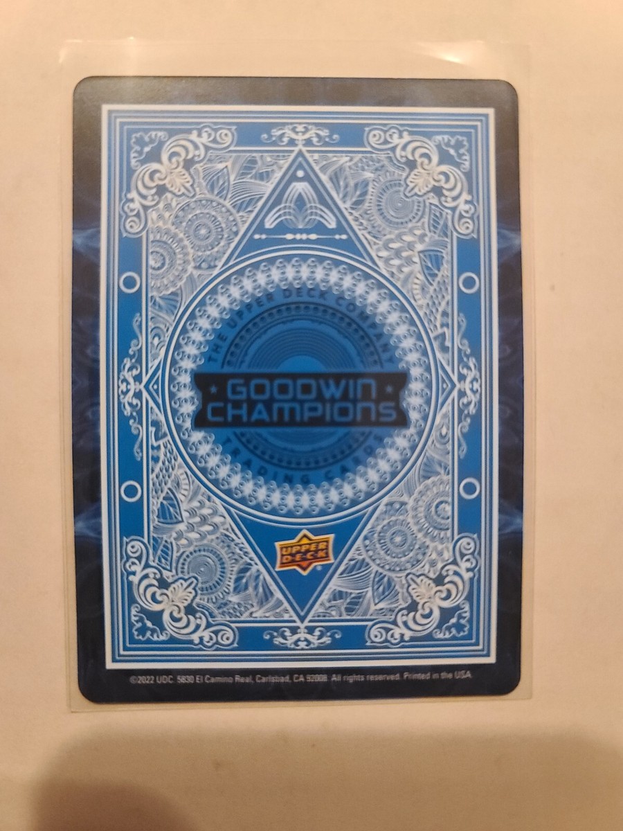 2022 UD Goodwin Champions Playing Card Tiger Woods SP Ace of