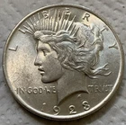 1923 Peace Type Silver Dollar good condition