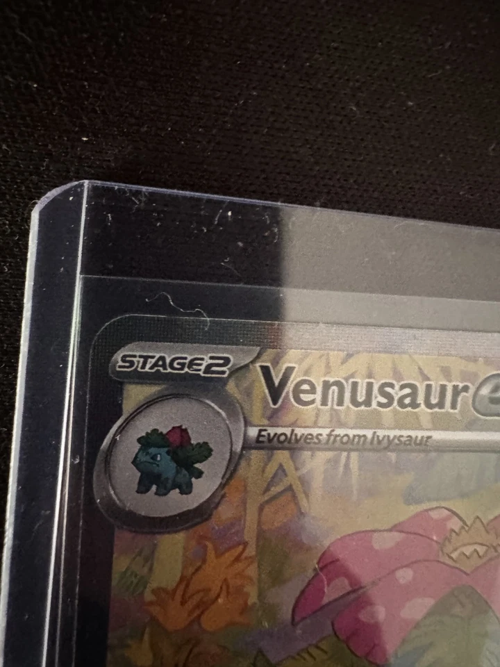 Venusaur ex, photo 4 sur 5