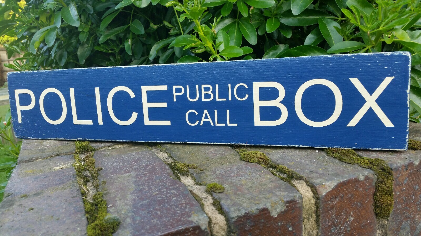 DR WHO POLICE PUBLIC CALL BOX TARDIS Door Sign NEW | eBay UK
