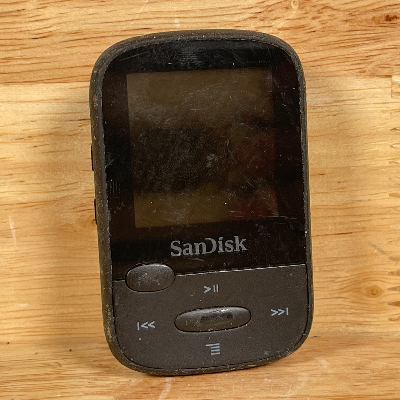SanDisk Clip Sport Black Handheld 1.4" LCD FM Radio MP3 Media Player eBay