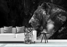 3D Dark Lion Portrait Self-adhesive Removable Wallpaper Murals Wall Sticker B86